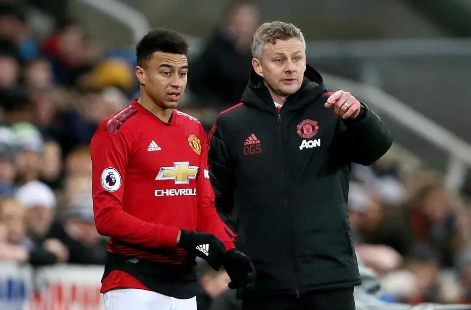 仅减轻了参 仅减轻了参